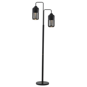 Metal Floor Lamp with Black Smoke Glass