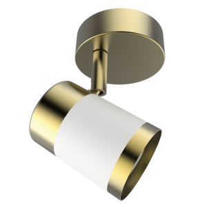 Matt White and Satin Brass Spotlight
