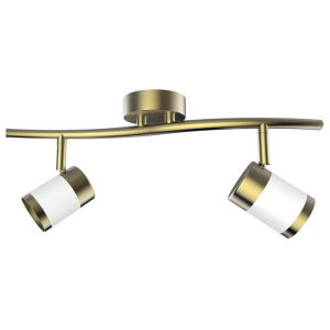 Matt White and Satin Brass Spotlight