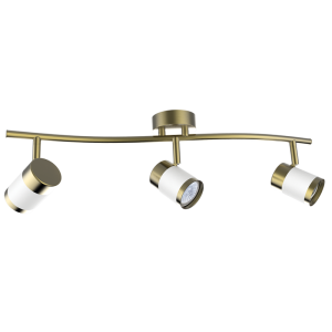 Matt White and Satin Brass Spotlight