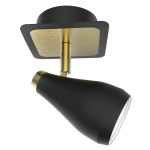 Matt Black and Satin Brass Spotlight