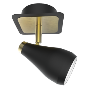 Matt Black and Satin Brass Spotlight
