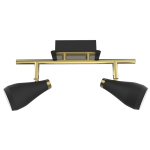 Matt Black and Satin Brass Spotlight