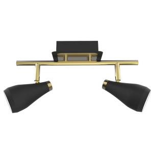 Matt Black and Satin Brass Spotlight