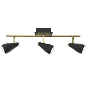 Matt Black and Satin Brass Spotlight