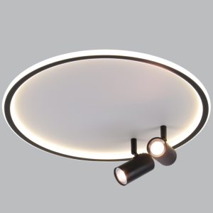 Metal and Plastic Ceiling Fitting