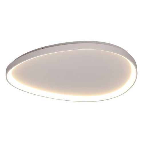 Ovoid White Framed Ceiling Fitting